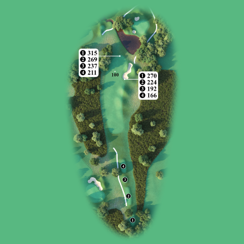 Hole 5
